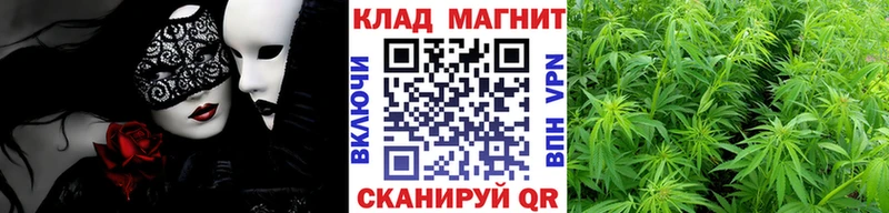 Как найти закладки Пустошка Бошки Шишки Альфа ПВП ГАШ Псилоцибиновые грибы Меф
