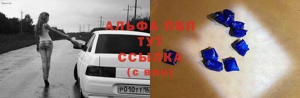 стафф Арсеньев