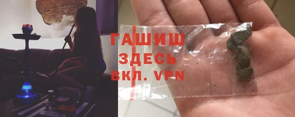 стаф Алзамай