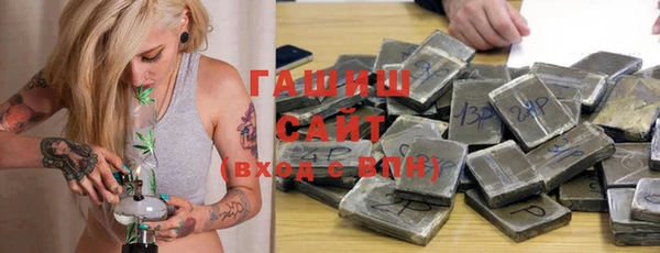 стаф Алзамай